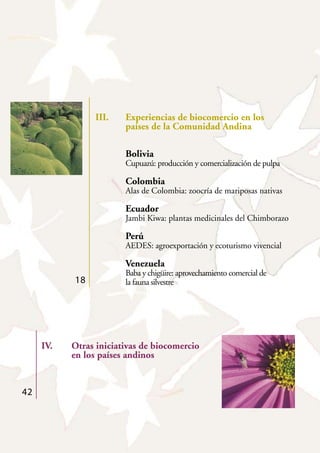 III. Experiencias de biocomercio en los
países de la Comunidad Andina
Bolivia
Cupuazú: producción y comercialización de pulpa
Colombia
Alas de Colombia: zoocría de mariposas nativas
Ecuador
Jambi Kiwa: plantas medicinales del Chimborazo
Perú
AEDES: agroexportación y ecoturismo vivencial
Venezuela
Baba y chigüire: aprovechamiento comercial de
la fauna silvestre
IV. Otras iniciativas de biocomercio
en los países andinos
18
42
 