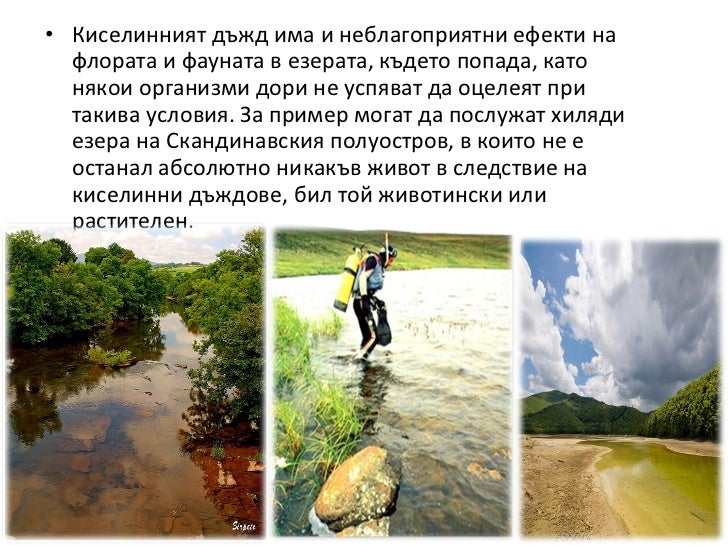 киселинен дъжд 97 2003