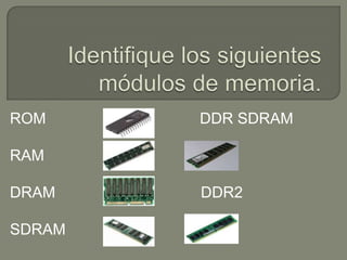 ROM     DDR SDRAM

RAM

DRAM    DDR2

SDRAM
 
