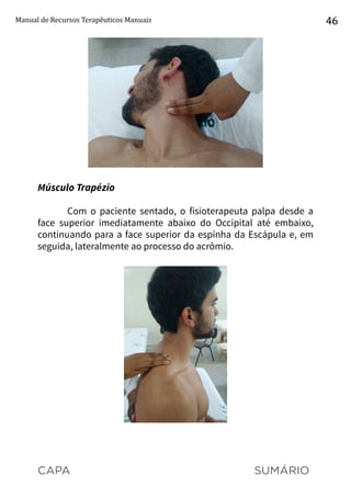 CAPA SUMÁRIO
Manual de Recursos Terapêuticos Manuais 46
Músculo Trapézio
Com o paciente sentado, o fisioterapeuta palpa desde a
face superior imediatamente abaixo do Occipital até embaixo,
continuando para a face superior da espinha da Escápula e, em
seguida, lateralmente ao processo do acrômio.
 