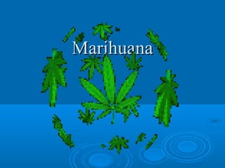 MarihuanaMarihuana
 