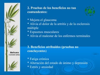 2. Pruebas de los beneficios no tan
contundentes:
* Mejora el glaucoma
* Alivia el dolor de la artritis y de la esclerosis
múltiple
* Espasmos musculares
* Alivia el malestar de los enfermos terminales
3. Beneficios atribuidos (pruebas no
concluyentes)
* Fatiga crónica
* Alteración del estado de ánimo y depresión
* Estrés y ansiedad
 