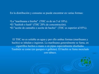 En la distribución y consumo se puede encontrar en varias formas:
•La "marihuana o hierba" (THC es de un 5 al 10%).
•El "hashish o hash“ (THC 20% de concentración).
•El "aceite de cannabis o aceite de hachis" (THC es superior al 85%).
El THC no es soluble en agua y por ello ambas formas (marihuana y
hachis) se inhalan e ingieren. La marihuana generalmente se fuma, en
cigarrillos hechos a mano o en pipas especialmente diseñadas.
También se come (en queques o galletas). El hachís se fuma mezclado
con tabaco.
 