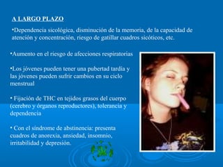 A LARGO PLAZO
•Dependencia sicológica, disminución de la memoria, de la capacidad de
atención y concentración, riesgo de gatillar cuadros sicóticos, etc.
•Aumento en el riesgo de afecciones respiratorias
•Los jóvenes pueden tener una pubertad tardía y
las jóvenes pueden sufrir cambios en su ciclo
menstrual
• Fijación de THC en tejidos grasos del cuerpo
(cerebro y órganos reproductores), tolerancia y
dependencia
• Con el síndrome de abstinencia: presenta
cuadros de anorexia, ansiedad, insomnio,
irritabilidad y depresión.
 