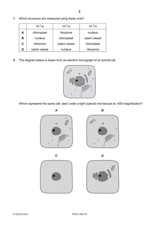 9700 s10 qp_11 | PDF