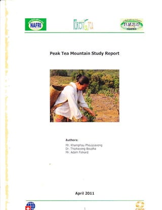 l0[il] t'.
Peak Tea Mountain Study Report
l1r Khamphou PhoLyyalonq
April 2011
ttll
dv
 