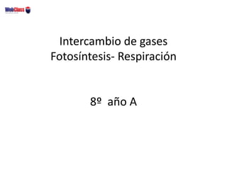 Intercambio de gases
Fotosíntesis- Respiración
8º año A
 
