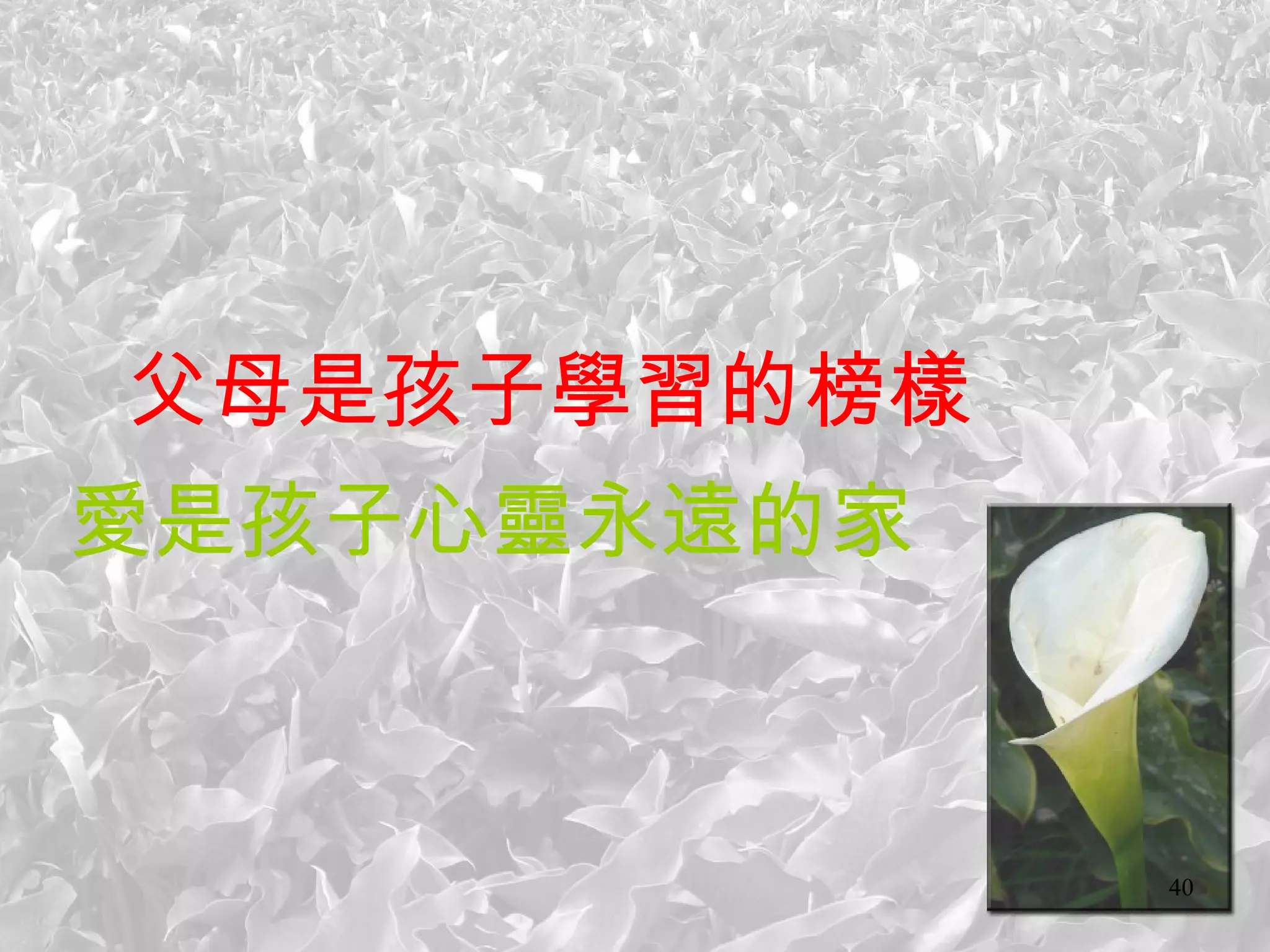 父母是孩子學習的榜樣 愛是孩子心靈永遠的家 