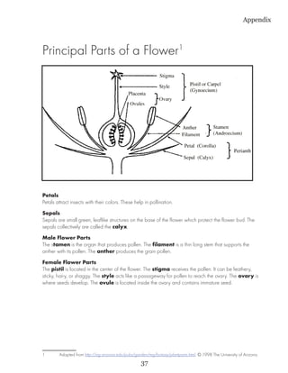 Appendix



Principal Parts of a Flower1




Petals
Petals attract insects with their colors. These help in pollination.
Sepals
Sepals are small green, leaflike structures on the base of the flower which protect the flower bud. The
sepals collectively are called the calyx.
Male Flower Parts
The stamen is the organ that produces pollen. The filament is a thin long stem that supports the
anther with its pollen. The anther produces the grain pollen.
Female Flower Parts
The pistil is located in the center of the flower. The stigma receives the pollen. It can be feathery,
sticky, hairy, or shaggy. The style acts like a passageway for pollen to reach the ovary. The ovary is
where seeds develop. The ovule is located inside the ovary and contains immature seed.




1	      Adapted from http://ag.arizona.edu/pubs/garden/mg/botany/plantparts.html. © 1998 The University of Arizona.
                                                   37
 