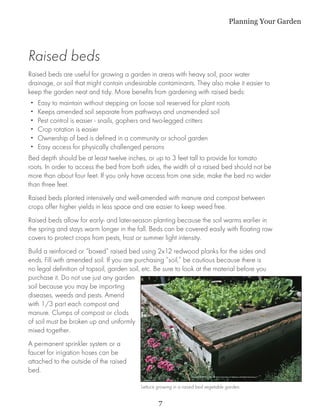Planning Your Garden




Raised beds
Raised beds are useful for growing a garden in areas with heavy soil, poor water
drainage, or soil that might contain undesirable contaminants. They also make it easier to
keep the garden neat and tidy. More benefits from gardening with raised beds:
••   Easy to maintain without stepping on loose soil reserved for plant roots
••   Keeps amended soil separate from pathways and unamended soil
••   Pest control is easier - snails, gophers and two-legged critters
••   Crop rotation is easier
••   Ownership of bed is defined in a community or school garden
••   Easy access for physically challenged persons
Bed depth should be at least twelve inches, or up to 3 feet tall to provide for tomato
roots. In order to access the bed from both sides, the width of a raised bed should not be
more than about four feet. If you only have access from one side, make the bed no wider
than three feet.
Raised beds planted intensively and well-amended with manure and compost between
crops offer higher yields in less space and are easier to keep weed free.
Raised beds allow for early- and later-season planting because the soil warms earlier in
the spring and stays warm longer in the fall. Beds can be covered easily with floating row
covers to protect crops from pests, frost or summer light intensity.
Build a reinforced or “boxed” raised bed using 2x12 redwood planks for the sides and
ends. Fill with amended soil. If you are purchasing “soil,” be cautious because there is
no legal definition of topsoil, garden soil, etc. Be sure to look at the material before you
purchase it. Do not use just any garden
soil because you may be importing
diseases, weeds and pests. Amend
with 1/3 part each compost and
manure. Clumps of compost or clods
of soil must be broken up and uniformly
mixed together.
A permanent sprinkler system or a
faucet for irrigation hoses can be
attached to the outside of the raised
bed.

                                           Lettuce growing in a raised bed vegetable garden.


                                                   7
 