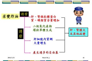 2014/3/31 Shieh M. J. 44
肝、腎微粒體蛋白
質、磷脂質含量增加
肝、腎腫大
及其他病變
誘發
二級氧化產物
環狀單體生成
肝細胞內質網
大量增生
產生過多的自由基
誘
發
务變炸油
 