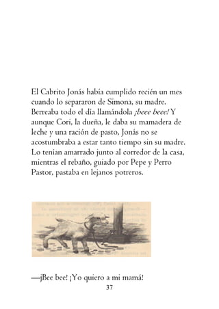 37
El Cabrito Jonás había cumplido recién un mes
cuando lo separaron de Simona, su madre.
Berreaba todo el día llamándola ¡beee beee! Y
aunque Cori, la dueña, le daba su mamadera de
leche y una ración de pasto, Jonás no se
acostumbraba a estar tanto tiempo sin su madre.
Lo tenían amarrado junto al corredor de la casa,
mientras el rebaño, guiado por Pepe y Perro
Pastor, pastaba en lejanos potreros.
—jBee bee! ¡Yo quiero a mi mamá!
 