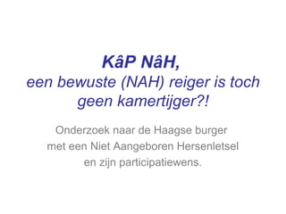 KâP NâH,
een bewuste (NAH) reiger is toch
geen kamertijger?!
Onderzoek naar de Haagse burger
met een Niet Aangeboren Hersenletsel
en zijn participatiewens.
 