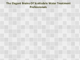 The Elegant Brains Of Scottsdale Water Treatment
Professionals
 