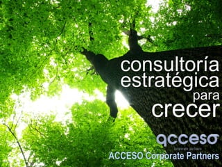 ACCESO Corporate Partners
estratégica
crecer
consultoría
para
 