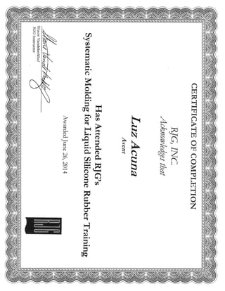 Certificate RJG Systematic Molding LSR