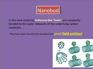 Nanobud In this new material,  fullerene-like "buds"  are covalently bonded to the outer sidewalls of the underlying carbon nanotube.  They have been found to be exceptionally  good  field emitters .  