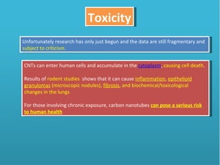 Toxicity Unfortunately research has only just begun and the data are still fragmentary and  subject to criticism .  CNTs can enter human cells and accumulate in the  cytoplasm ,  causing cell death . Results of  rodent studies  shows that it can cause  inflammation ,  epithelioid granulomas  (microscopic nodules),  fibrosis , and biochemical/toxicological changes in the lungs For those involving chronic exposure, carbon nanotubes  can pose a serious risk to human health 