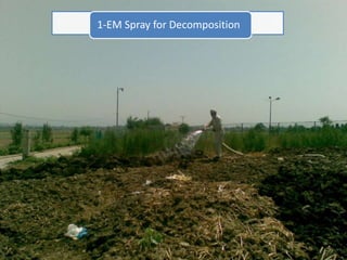 1
1-EM Spray for Decomposition
 