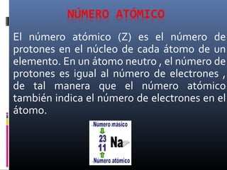 El número atómico (Z) es el número de
protones en el núcleo de cada átomo de un
elemento. En un átomo neutro , el número de
protones es igual al número de electrones ,
de tal manera que el número atómico
también indica el número de electrones en el
átomo.
 