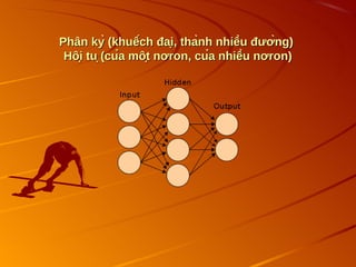 Phân kỳ (khuếch đại, thành nhiều đường)
Phân kỳ (khuếch đại, thành nhiều đường)
Hội tụ (của một nơron, của nhiều nơron)
Hội tụ (của một nơron, của nhiều nơron)
 