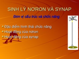 SINH LÝ NƠRON VÀ SYNAP
SINH LÝ NƠRON VÀ SYNAP
Đ n v c u trúc và ch c năng
ơ ị ấ ứ
Đ n v c u trúc và ch c năng
ơ ị ấ ứ
Đ c đi m hình thái ch c năng
ặ ể ứ
Đ c đi m hình thái ch c năng
ặ ể ứ
Ho t đ ng c a n ron
ạ ộ ủ ơ
Ho t đ ng c a n ron
ạ ộ ủ ơ
Ho t đ ng c a synap
ạ ộ ủ
Ho t đ ng c a synap
ạ ộ ủ
 