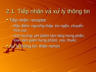 2.1. Tiếp nhận và xử lý thông tin
2.1. Tiếp nhận và xử lý thông tin
Tiếp nhận: receptor
Tiếp nhận: receptor
– Đặc điểm: ngưỡng thấp, trơ ngắn, chuyển
Đặc điểm: ngưỡng thấp, trơ ngắn, chuyển
hóa cao
hóa cao
– Ảnh hưởng: pH (kiềm làm tăng hưng phấn,
Ảnh hưởng: pH (kiềm làm tăng hưng phấn,
toan làm giảm hưng phấn), oxy, thuốc
toan làm giảm hưng phấn), oxy, thuốc
Xử lý thông tin: thân nơron
Xử lý thông tin: thân nơron
 
