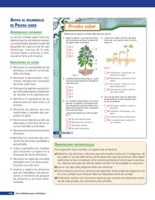 Guía Didáctica para el Profesor156
Prueba saber
1. Según la figura 1, ¿en qué estructura
de la planta se produce la absorción
de agua y sales minerales?
Selecciona la opción correcta. Márcala con una X.
a) A.
b) C.
c) B.
d) D.
a) A.
b) C.
c) B.
d) D.
a) No pudo absorber agua.
b) Dejó de producir alimento.
c) No produjo semillas.
d) No pudo reproducirse.
2. Considerando la misma figura 1, ¿qué
estructura de la planta es útil para su
reproducción?
3. Un científico experimentó con varias
plantas. A la planta 1 le extrajo las ho-
jas. A la planta 2 le quitó sus flores. A la
planta 3 le extrajo las raíces. A la planta
4 le cortó sus ramas.
¿Qué pudo haberle ocurrido a la plan-
ta 1?
a) Germinación, reproducción, de-
sarrollo de la planta.
b) Reproducción, polinización, árbol
adulto.
c) Germinación, desarrollo de la
planta, planta joven.
d) Desarrollo de la planta, germina-
ción, árbol adulto.
a) Sembrarlas, regarlas y cuidar su
desarrollo.
b) Guardarlas, almacenarlas y ven-
derlas.
c) Comprar semillas y almacenarlas.
d) Ir al supermercado y comprar fru-
tas y verduras.
5. ¿En cuál de estos casos un agricultor
puede obtener nuevas plantas a par-
tir de las semillas?
A
B
C
D
Figura 1
4. ¿Cuál es el orden correcto del desa-
rrollo de una planta como la de la
figura 2?
Figura 2
Prueba saber110
aprendiZaJes esperados
La sección Prueba saber tiene por
objetivo que los estudiantes evalúen
sus aprendizajes logrados luego del
desarrollo de cada uno de los ejes
temáticoas: Ciencias de la vida,
Ciencias físicas y químicas, y Cien-
cias de la Tierra y el Universo.
indicadores de loGro
• Reconoce las necesidades de las
plantaas y su relación con la raíz,
tallo y las hojas.
• Reconoce la germinación, creci-
miento, reproducción, formación
de la flor y del fruto.
• Distingue los agentes que partici-
pan de la polinización y dispersión
de semillas en la reproducción.
• Identifica la importancia de las
plantas para los seres vivos y el
hombre.
• Reconoce las plantas que son
medicinales y aquellas que per-
judican la salud.
• Reconoce la importancia del uso
adecuado y consciente de los re-
cursos naturales y artificiales.
• Reconoce las características de los
alimentos.
• Identifica los nutrientes que con-
tienen los alimentos saludables y
perjudiciales.
• Indica y ejemplifica las medidas
para mantener la higiene en la
manipulación de los alimentos.
• Reconoce las reglas de una dieta
saludable como una buena prác-
tica para una vida sana.
• Expresa y explica los alimentos
que son saludables y las precau-
ciones al momento de preparar
los alimentos y así evitar enfer-
medades.
orienTaciones MeTodolóGicas
Para responder esta actividad, se sugiere que el docente:
a) Advierta a los alumnos y alumnas que esta prueba consta de 27 preguntas, de
las cuales 21 son de alternativas y 6 de desarrollo; para las primeras, ellos deben
seleccionar la que consideran como correcta pintando el círculo que la acompa-
ña, mientras que para las últimas deben escribir con letra legible su respuesta.
b) Lea en voz alta cada pregunta antes de comenzar.
c) Terminados los alumnos y alumans de responder, revise todas las preguntas con
el curso y pídales que marquen ellos las respuestas antes de corregir.
d) Finalmente, solicite a los alumnos y alumnas que cuenten las respuestas correc-
tas de cada prueba, las incorrectas y las omitidas.
apoYo al desarrollo
de prueBa saBer
 