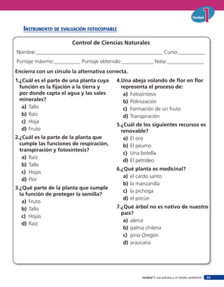 Unidad 1: Las plantas y el medio ambiente
Unidad
23
insTruMenTo de eValuación foTocopiaBle
Control de Ciencias Naturales
Nombre:________________________________________________ Curso:__________
Puntaje máximo:__________ Puntaje obtenido:____________ Nota:______________
Encierra con un círculo la alternativa correcta.
1.¿Cuál es el parte de una planta cuya
función es la fijación a la tierra y
por donde capta el agua y las sales
minerales?
a) Tallo
b) Raíz
c) Hoja
d) Fruto
2.¿Cuál es la parte de la planta que
cumple las funciones de respiración,
transpiración y fotosíntesis?
a) Raíz
b) Tallo
c) Hojas
d) Flor
3.¿Qué parte de la planta que cumple
la función de proteger la semilla?
a) Fruto
b) Tallo
c) Hojas
d) Raíz
4.Una abeja volando de flor en flor
representa el proceso de:
a) Fotosíntesis
b) Polinización
c) Formación de un fruto
d) Transpiración
5.¿Cuál de los siguientes recursos es
renovable?
a) El oro
b) El peumo
c) Una botella
d) El petróleo
6.¿Qué planta es medicinal?
a) el cardo santo
b) la manzanilla
c) la pichoga
d) el pircún
7.¿Qué árbol no es nativo de nuestro
país?
a) alerce
b) palma chilena
c) pino Oregón
d) araucaria
 