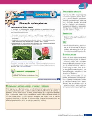 Unidad 1: Las plantas y el medio ambiente
Unidad
29
Características de las plantas
La naturaleza nos maravilla con la variedad de plantas que observamos en nuestro
entorno. Como todo un científico o científica debes prepararte para conocer las plan-
tas. ¡Veamos sus características!
Lección 1
Tema: Las plantas
Dirección: www.genmagic.org/natural/plant1c.swf
Científicos cibernéticosCientíficos cibernéticos
El mundo de las plantas
RosalHelecho
¿Qué plantas son características en el lugar en que vives?
Las plantas, como todo ser vivo, deben cubrir varias necesidades para mantenerse
vivas. En la actividad de la página anterior pudiste descubrir que las plantas requieren
agua para vivir. ¿Qué más necesitan?
• La principal característica de las plantas es que fabrican su propio alimento.
• La gran mayoría de las plantas tienen tres partes: raíz, tallo y hojas con funciones
particulares.
• Las plantas crecen en lugares fríos, calientes, húmedos o secos. Además, pueden
crecer en diferentes tipos de suelo como la arena, la tierra y el barro.
• Existen plantas con flores; como el clavel, el rosal, el ulmo, el tamarugo y el espino.
También hay otras sin flores como el helecho y el musgo.
Experimentar, explorar, observar y comunicar 13
orienTaciones MeTodolóGicas Y resulTados esperados
Ante la pregunta: ¿Qué plantas son características en el lugar que vives? se espera
que los estudiantes señalen aquellas que les resultan más familiares. El profesor o
profesora puede orientar a los alumnos, recordándoles que las plantas son seres
vivos y como tales necesitan estar adaptadas al hábitat en que se desarrollan. El
docente puede guiar a los niños y niñas, señalando que si bien todas las plantas
requieren de agua, es el grado de disponibilidad de esta lo que determina las
adaptaciones de deben tener las plantas para poder subsistir.
aprendiZaJes esperados
Aquí se presentan las principales
características de las plantas: fabri-
can su propio alimento, crecen en
distintos hábitats y suelos, y las hay
con y sin flores. También se espera
que los estudiantes, una vez cubier-
tos los contenidos, sean capaces de
distinguir sus principales partes: raí-
ces, tallo o tronco y hojas.
HaBilidades
• Experimentar, explorar, observar
y comunicar.
oaT
• Hacer uso consciente y responsa-
ble de las tecnologías de la infor-
mación, aplicando criterios de au-
tocuidado y cuidado a los demás.
acTiVidad preVia
Invite a los estudiantes a observar las
fotografías de la página: un helecho
y un rosal. Pídales que comparen
ambas imágenes e indiquen qué sa-
ben de cada una de estas especies.
Guíelos preguntando: ¿Cuál de es-
tas dos plantas posee espinas? ¿Cuál
requiere de mayor humedad? ¿Cuál
tiene flores? Etcétera.
Si no están familiarizados con las
plantas, entrégueles una breve des-
cripción y luego invítelos a conside-
rar plantas que les resulten conoci-
das para que las comparen entre sí
y luego compartan sus impresiones
con sus compañeros y compañeras.
 