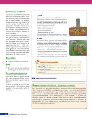Guía Didáctica para el Profesor30
La raíz
¿Alguna vez has sembrado una planta? ¿Te fijaste en la raíz
de esa planta? ¿Sabes qué utilidad presta la raíz a la planta?
En la mayoría de las plantas, la raíz es la parte que crece
bajo tierra, aunque existen raíces acuáticas; como las del
junco, nenúfar y jacinto de agua; y raíces aéreas; como las
del clavel del aire y voqui naranjo.
Algunas de las funciones de la raíz son:
• Sirven de soporte a la planta.
• Absorben agua del suelo.
• Absorben minerales del suelo.
¿Qué necesidades les permite cubrir las raíces a las plan-
tas? ¿Qué sucedería con una planta si se le corta la raíz?
El tallo
Al contrario de la raíz, la mayoría de los tallos crece sobre
el suelo. Puede ser herbáceo, que es un tallo delgado y
corresponde al que presentan las plantas que llamamos
hierbas, o bien, puede ser leñoso y es el que corresponde
a las plantas conocidas como arbustos y árboles.
El tallo cumple en las plantas las siguientes funciones:
• Conduce agua y minerales desde la raíz a las hojas.
• Transporta alimentos desde las hojas hasta las otras par-
tes de la planta.
• Sostiene las ramas, hojas y otras estructuras de la planta.
¿Qué sucedería con una planta si se corta su tallo en dos?
Algunos tallos son parte de nuestra alimentación; por ejemplo, el espárrago, los pal-
mitos y el apio.
También los tallos son utilizados para leña, carbón vegetal y como madera para fabri-
car muebles, casas y botes.
Busca en tu hogar objetos hechos de madera. Escribe su nombre en tu cuaderno y haz
un dibujo de él.
Conecta lo aprendidoConecta lo aprendidoConecta lo aprendido
14 Unidad 1 • Lección 1: El mundo de las plantas
orienTaciones MeTodolóGicas Y resulTados esperados
Para abordar la raíz guíe a los alumnos en la comprensión de las funciones de las
raíces: ser soporte del tallo o tronco y absorber el agua y los nutrientes. Indíqueles
que además de las raíces terrestres, que son las más comunes, existen raíces acuá-
ticas y aéreas. En lo que respecta al tallo, revisen sus funciones: sostener y conducir
agua y nutrientes desde y hacia la raíz y hojas, y luego muestre a los alumnos sus
dos tipos: herbáceo y leñoso. Se espera como resultado de las actividades de esta
página que los estudiantes relacionen que las plantas, tal como los animales, se
adaptan para vivir en su hábitat y que, por lo tanto, esto determina la existencia
de distintos tipos de raíces y tallos.
aprendiZaJes esperados
La sección Conecta lo aprendido
tiene por propósito que los estu-
diantes relacionen los conocimien-
tos recién adquiridos con aquellos
de uso cotidiano en sus hogares, de
manera tal que se refuerce la idea
de que las diferentes partes de las
plantas tienen distintas funciones, y
así, también son aprovechados con
distintos propósitos por nosotros los
seres humanos.
Como complemento de aquellos ta-
llos que se indican, puede solicitar
a los alumnos y alumnas que cuen-
ten si conocen alguna raíz que sea
también usada como alimento. Se
espera que los niños y niñas men-
cionen especies como zanahoria, ce-
bolla, papa, etc. Se puede además
señalar a los alumnos y alumnas que
otro uso de la madera puede ser la
fabricación de papel y cartón.
HaBilidades
• Observar, analizar y comunicar.
oaT
• Demostrar interés por conocer la
realidad y utilizar el conocimiento.
acTiVidad coMpleMenTaria
Invite a los alumnos a intercambiar
sus experiencias de plantar o sem-
brar recordando el experimento del
poroto.
Oriente su conversación con pre-
guntas como: ¿Son todas las raíces
iguales? ¿Por qué existen tallos di-
ferentes?
 