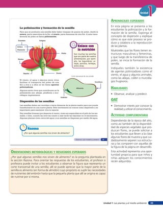 Unidad 1: Las plantas y el medio ambiente
Unidad
33
Son muchas las semillas
que son parte de nuestra
alimentación; por ejem-
plo, las legumbres: ar-
vejas, porotos, lentejas,
entre otras.
Enlace con
la nutrición
Enlace con
la nutrición
¿Por qué algunas semillas nos sirven de alimento?
RazonaRazonaRazona
La polinización y formación de la semilla
Dispersión de las semillas
Las semillas deben ser movidas a cierta distancia de la planta madre para que pueda
transformarse en una nueva planta. Este movimiento se conoce como dispersión y es
importante para mantener viva la especie.
Hay semillas livianas que dispersa el viento; otras son esparcidas en el pelo de los ani-
males, o bien, cuando las aves las comen y más tarde las expulsan en el excremento.
Algunas plantas viven cerca del agua y sus semillas se dispersan por medio del agua.
Corte transversal de una semilla
El viento, el agua o algunos seres vivos
facilitan el transporte del polen de una
flor a otra y a ellos se les llama agentes
polinizadores.
Algunos seres vivos que contribuyen en la
polinización son: abejas, picaflores o mur-
ciélagos vegetarianos.
Para que se produzca una semilla debe haber traspaso de granos de polen, desde la
antera, parte masculina de la flor, al ovario, parte femenina de otra flor. A esta trans-
ferencia de polen se llama polinización.
Estambre Estigma
Pistilo
Antera
Filamento
Pétalos
Sépalos Ovario
Alimento
Embrión
Envoltura
Observar, usar modelos y predecir 17
orienTaciones MeTodolóGicas Y resulTados esperados
¿Por qué algunas semillas nos sirven de alimento? es la pregunta planteada en
la sección Razona. Para orientar las respuestas de los estudiantes, el profesor o
profesora puede invitar a los estudiantes a observar la figura que representa un
corte transversal de una semilla; allí se puede apreciar que la mayor parte de la
semilla es alimento (en forma de almidón) cuyo propósito es suplir las necesidades
de nutrientes del embrión hasta que la pequeña planta que allí se origina es capaz
de nutrirse por sí misma.
aprendiZaJes esperados
En esta página se presenta a los
estudiantes la polinización y la for-
mación de la semilla. Exponga el
concepto de dispersión y explique
cómo es que este proceso se pro-
duce y colabora a la reproducción
de las plantas.
Muéstreles que las flores tienen es-
tructuras masculinas y femeninas,
y que luego de la transferencia de
polen, se inicia la formación de la
semilla.
Indíqueles también la existencia
de agentes polinizadores como el
viento, el agua y algunos animales,
como las abejas, colibrí o murciéla-
gos frugívoros.
HaBilidades
• Observar, analizar y predecir.
oaT
• Demostrar interés por conocer la
realidad y utilizar el conocimiento.
acTiVidad coMpleMenTaria
Dependiendo de la época del año,
como así también de la disponibili-
dad de especies vegetales que pro-
duzcan flores, se puede solicitar a
los estudiantes que lleven a la clase
algunas flores de muestra y que cui-
dadosamente separen sus estructu-
ras y las comparen con aquellas de
la figura de la página en desarrollo.
Esta actividad representa una opor-
tunidad propicia para que niños y
niñas apliquen los conocimientos
recién adquiridos.
 