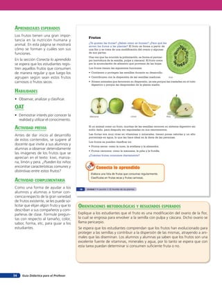 Guía Didáctica para el Profesor34
Elabora una lista de frutas que consumas regularmente.
Clasifícalas en frutas secas y frutas carnosas.
Conecta lo aprendidoConecta lo aprendidoConecta lo aprendido
LimónManzana Pera
Kiwi
Frutos
¿Te gustan las frutas? ¿Sabes cómo se forman? ¿Para qué les
sirven los frutos a las plantas? El fruto se forma a partir de
una flor y se trata de una modificación del ovario y algunas
de sus partes.
Una vez que ha ocurrido la polinización, se forma el pericar-
pio (envoltura de la semilla, pulpa y cáscara). El fruto crece
por la acumulación de alimento que proviene de las hojas.
Los frutos tienen las siguientes funciones:
• Contienen y protegen las semillas durante su desarrollo.
• Contribuyen con la dispersión de las semillas maduras.
• Atraen animales que favorecen su dispersión, ya sea porque las trasladan en el tubo
digestivo o porque las desprenden de la planta madre.
Si un animal come un fruto, muchas de las semillas recorren su sistema digestivo sin
sufrir daño, para después ser expulsadas en sus excrementos.
Las frutas son muy ricas en vitaminas y minerales, tienen pocas calorías y un alto
porcentaje en agua, lo que las hace ideal en la dieta de las personas.
Los frutos se pueden clasificar en:
• Frutos secos: como la nuez, la avellana y la almendra.
• Frutos carnosos: como la manzana, la piña y la frutilla.
¿Cuántas frutas consumes diariamente?
18 Unidad 1 • Lección 1: El mundo de las plantas
orienTaciones MeTodolóGicas Y resulTados esperados
Explique a los estudiantes que el fruto es una modificación del ovario de la flor,
la cual se engrosa para envolver a la semilla con pulpa y cáscara. Dicho ovario se
llama pericarpio.
Se espera que los estudiantes comprendan que los frutos han evolucionado para
proteger a las semillas y contribuir a la dispersión de las mismas, atrayendo a ani-
males que las diseminan. Los alumnos y alumnas ya saben que los frutos son una
excelente fuente de vitaminas, minerales y agua, por lo tanto se espera que con
esta tarea puedan determinar si consumen suficiente fruta o no.
aprendiZaJes esperados
Los frutos tienen una gran impor-
tancia en la nutrición humana y
animal. En esta página se mostrará
cómo se forman y cuáles son sus
funciones.
En la sección Conecta lo aprendido
se espera que los estudiantes regis-
tren aquellos frutos que consumen
de manera regular y que luego los
agrupen según sean estos frutos
carnosos o frutos secos.
HaBilidades
• Observar, analizar y clasificar.
oaT
• Demostrar interés por conocer la
realidad y utilizar el conocimiento.
acTiVidad preVia
Antes de dar inicio al desarrollo
de estos contenidos, se sugiere al
docente que invite a sus alumnos y
alumnas a observar detenidamente
las imágenes de los frutos que se
aprecian en el texto: kiwi, manza-
na, limón y pera. ¿Pueden los niños
encontrar características comunes y
distintivas entre estos frutos?
acTiVidad coMpleMenTaria
Como una forma de ayudar a los
alumnos y alumnas a tomar con-
ciencia respecto de la gran variedad
de frutos existente, se les puede so-
licitar que elijan algún fruto y que lo
describan a sus compañeros y com-
pañeras de clase. Formule pregun-
tas con respecto al tamaño, color,
sabor, forma, etc, para guiar a los
estudiantes.
 