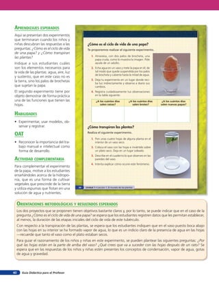 Guía Didáctica para el Profesor40
¿Cómo es el ciclo de vida de una papa?
Te proponemos realizar el siguiente experimento.
1. Atraviesa, con dos palos de brocheta, una
papa cruda, como lo muestra la imagen. Pide
ayuda de un adulto.
2. Echa agua en un vaso y mete la papa en él, de
tal modo que quede suspendida por los palos
de brocheta y cubierta hasta la mitad de agua.
3. Deja tu experimento en un lugar donde reci-
ba luz indirectamente y observa a diario sus
cambios.
4. Registra cuidadosamente tus observaciones
en la tabla siguiente:
¿Cómo transpiran las plantas?
Realiza el siguiente experimento.
1. Pon unas cuatro hojas de alguna planta en el
interior de un vaso seco.
2. Coloca el vaso con las hojas e inviértelo sobre
un plato seco. Deja en un lugar soleado.
3. Describe en el cuaderno lo que observes en las
paredes del vaso.
4. Intenta explicar cómo ocurre este fenómeno.
¿A los cuántos días
salen raíces?
¿A los cuántos días
salen brotes?
¿A los cuántos días
salen nuevas papas?
24 Unidad 1 • Lección 1: El mundo de las plantas
orienTaciones MeTodolóGicas Y resulTados esperados
Los dos proyectos que se proponen tienen objetivos bastante claros y, por lo tanto, se puede indicar que en el caso de la
pregunta ¿Cómo es el ciclo de vida de una papa? se espera que los estudiantes registren datos que les permitan establecer,
al menos, la duración de las etapas iniciales del ciclo de vida de este tubérculo.
Con respecto a la transpiración de las plantas, se espera que los estudiantes indiquen que en el vaso puesto boca abajo
con las hojas en su interior se ha formado vapor de agua, lo que es un indicio claro de la presencia de agua en las hojas
—recuerde que tanto el vaso como el plato estaban secos.
Para guiar el razonamiento de los niños y niñas en este experimento, se pueden plantear las siguientes preguntas: ¿Por
qué las hojas están en la parte de arriba del vaso? ¿Qué crees que va a suceder con las hojas después de un rato? Se
espera que en las respuestas de los niños y niñas estén presentes los conceptos de condensación, vapor de agua, gotas
de agua y gravedad.
aprendiZaJes esperados
Aquí se presentan dos experimentos
que terminaran cuando los niños y
niñas descubran las respuestas a las
preguntas: ¿Cómo es el ciclo de vida
de una papa? y ¿Cómo transpiran
las plantas?
Indique a sus estudiantes cuáles
son los elementos necesarios para
la vida de las plantas: agua, aire, luz
y sustento, que en este caso no es
la tierra, sino los palos de brochetas
que sujetan la papa.
El segundo experimento tiene por
objeto demostrar de forma práctica
una de las funciones que tienen las
hojas.
HaBilidades
• Experimentar, usar modelos, ob-
servar y registrar.
oaT
• Reconocer la importancia del tra-
bajo manual e intelectual como
forma de desarrollo.
acTiVidad coMpleMenTaria
Para complementar el experimento
de la papa, motive a los estudiantes
enseñándoles acerca de la hidropo-
nía, que es una forma de cultivar
vegetales que prescinde de la tierra
y utiliza espumas que flotan en una
solución de agua y nutrientes.
 
