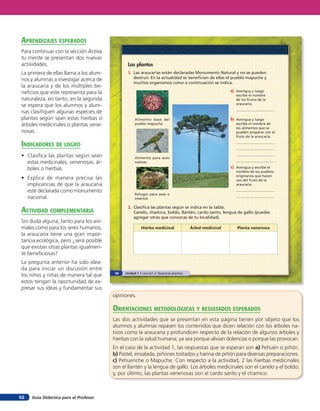 Guía Didáctica para el Profesor52
Las plantas
1. Las araucarias están declaradas Monumento Natural y no se pueden
destruir. En la actualidad se benefician de ellas el pueblo mapuche y
muchos organismos como a continuación se indica.
2. Clasifica las plantas según se indica en la tabla.
Canelo, chamico, boldo, llantén, cardo santo, lengua de gallo (puedes
agregar otras que conozcas de tu localidad).
a) Averigua y luego
escribe el nombre
de los frutos de la
araucaria.
Alimento base del
pueblo mapuche.
b) Averigua y luego
escribe el nombre de
los alimentos que se
pueden preparar con el
fruto de la araucaria.
Alimento para aves
nativas.
c) Averigua y escribe el
nombre de los pueblos
originarios que hacen
uso del fruto de la
araucaria.
Refugio para aves e
insectos.
Hierba medicinal Árbol medicinal Planta venenosa
36 Unidad 1 • Lección 2: Nuestras plantas
opiniones.
orienTaciones MeTodolóGicas Y resulTados esperados
Las dos actividades que se presentan en esta página tienen por objeto que los
alumnos y alumnas repasen los contenidos que dicen relación con los árboles na-
tivos como la araucaria y profundicen respecto de la relación de algunos árboles y
hierbas con la salud humana; ya sea porque alivian dolencias o porque las provocan.
En el caso de la actividad 1, las respuestas que se esperan son a) Pehuén o piñón.
b) Pastel, ensalada, piñones tostados y harina de piñón para diversas preparaciones.
c) Pehuenche o Mapuche. Con respecto a la actividad, 2 las hierbas medicinales
son el llantén y la lengua de gallo. Los árboles medicinales son el canelo y el boldo;
y, por último, las plantas venenosas son el cardo santo y el chamico.
aprendiZaJes esperados
Para continuar con la sección Activa
tu mente se presentan dos nuevas
actividades.
La primera de ellas llama a los alum-
nos y alumnas a investigar acerca de
la araucaria y de los múltiples be-
neficios que este representa para la
naturaleza, en tanto, en la segunda
se espera que los alumnos y alum-
nas clasifiquen algunas especies de
plantas según sean estas hierbas o
árboles medicinales o plantas vene-
nosas.
indicadores de loGro
• Clasifica las plantas según sean
estas medicinales, venenosas; ár-
boles o hierbas.
• Explica de manera precisa las
implicancias de que la araucaria
esté declarada como monumento
nacional.
acTiVidad coMpleMenTaria
Sin duda alguna, tanto para los ani-
males como para los seres humanos,
la araucaria tiene una gran impor-
tancia ecológica, pero ¿será posible
que existan otras plantas igualmen-
te beneficiosas?
La pregunta anterior ha sido idea-
da para iniciar un discusión entre
los niños y niñas de manera tal que
estos tengan la oportunidad de ex-
presar sus ideas y fundamentar sus
 