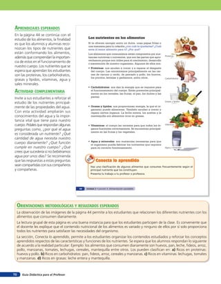 Guía Didáctica para el Profesor70
Los nutrientes en los alimentos
Si te ofrecen escoger entre un dulce, unas papas fritas o
una manzana para tu colación ¿con cuál te quedarías? ¿Cuál
sería el mejor alimento para ti? ¿Por qué?
Los alimentos que consumimos están compuestos por sus-
tancias nutritivas o nutrientes, que son las partes que apro-
vechamos porque son útiles para el crecimiento, desarrollo
o mantención de nuestro organismo. Algunos de ellos son:
•	 Proteínas: nos ayudan a crecer y a reparar el desgaste
del cuerpo. Las encontramos principalmente en las car-
nes de vacuno y cerdo, de pescado y pollo, los huevos,
los porotos, lentejas y garbanzos, entre otros.
•	 Carbohidratos: nos dan la energía que se requiere para
el funcionamiento del cuerpo. Están presentes principal-
mente en los cereales, las frutas, el pan, los dulces y las
pastas.
•	 Grasas y lípidos: nos proporcionan energía, la que el or-
ganismo puede almacenar. También ayudan a crecer y
repara ciertos órganos. La leche entera, los aceites y la
mantequilla son alimentos ricos en grasas.
•	 Vitaminas: el cuerpo las necesita para que todos los ór-
ganos funcionen correctamente. Se encuentran principal-
mente en las frutas y los vegetales.
•	 Agua y minerales: son sustancias necesarias para que
el organismo pueda fabricar los nutrientes que requiere
para su correcto funcionamiento.
Haz una clasificación de algunos alimentos que consumes frecuentemente según el
principal nutriente que los constituyen.
Presenta tu trabajo a tu profesor o profesora.
Conecta lo aprendidoConecta lo aprendidoConecta lo aprendido
Proteínas
Carbohidratos
Grasas y lípidos
Vitaminas
Agua y minerales
44 Unidad 2 • Lección 3: Alimentación saludable
aprendiZaJes esperados
En la página 44 se continúa con el
estudio de los alimentos, la finalidad
es que los alumnos y alumnas reco-
nozcan los tipos de nutrientes que
están conformando los alimentos,
además que comprendan la importan-
cia de estos en el funcionamiento de
nuestro cuerpo. Los nutrientes que se
espera que aprendan los estudiantes
son las proteínas, los carbohidratos,
grasas y lípidos, vitaminas, agua y
sales minerales.
acTiVidad coMpleMenTaria
Invite a sus estudiantes a reforzar el
estudio de los nutrientes principal-
mente de las propiedades del agua.
Con esta actividad ampliarán sus
conocimientos del agua y la impor-
tancia vital que tiene para nuestro
cuerpo.Pídalesquerespondanalgunas
preguntas como, ¿por qué el agua
es considerada un nutriente? ¿Qué
cantidad de agua necesita nuestro
cuerpo diariamente? ¿Qué función
cumple en nuestro cuerpo? ¿Qué
crees que sucedería si no bebiéramos
agua por unos días? Se recomienda
que las respuestas a estas preguntas
sean compartidas con sus compañeros
y compañeras.
orienTaciones MeTodolóGicas Y resulTados esperados
La observación de las imágenes de la página 44 permite a los estudiantes que relacionen los diferentes nutrientes con los
alimentos que consumen diariamente.
La lectura grupal de esta página es una buena instancia para que los estudiantes participen de la clase. Es conveniente que
el docente les explique que el contenido nutricional de los alimentos es variado y ninguno de ellos por sí solo proporciona
todos los nutrientes para satisfacer las necesidades del organismo.
La sección, Conecta lo aprendido, permite a los estudiantes organizar los contenidos estudiados y reforzar los conceptos
aprendidos respectos de las características y funciones de los nutrientes. Se espera que los alumnos respondan lo siguiente
de acuerdo a la realidad particular: Ejemplo: los alimentos que consumen diariamente son huevos, pan, leche, fideos, arroz,
pollo, manzanas, tomates, lechugas, cereales, mantequilla entre otros. Los pueden clasifican en: a) Ricos en proteínas:
huevos y pollo. b) Ricos en carbohidratos: pan, fideos, arroz, cereales y manzanas. c) Ricos en vitaminas: lechugas, tomates
y manzanas. d) Ricos en grasas: leche entera y mantequilla.
 