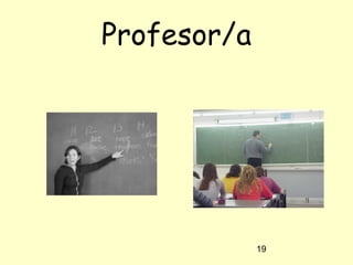 19
Profesor/a
 