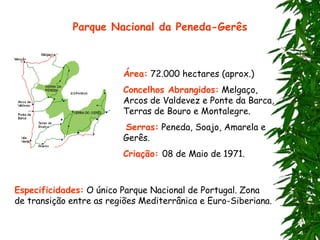 Parque Nacional da Peneda-Gerês
Área: 72.000 hectares (aprox.)
Concelhos Abrangidos: Melgaço,
Arcos de Valdevez e Ponte da Barca,
Terras de Bouro e Montalegre.
Serras: Peneda, Soajo, Amarela e
Gerês.
Criação: 08 de Maio de 1971.
Especificidades: O único Parque Nacional de Portugal. Zona
de transição entre as regiões Mediterrânica e Euro-Siberiana.
 
