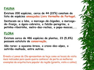 FAUNA
Existem 200 espécies, cerca de 44 (22%) constam da
lista de espécies ameaçadas Livro Vermelho de Portugal.
Destacam-se o lobo, o morcego-de-bigodes, o morcego-
de-franja, a águia-cobreira, o falcão-peregrino, a
petinha-ribeirinha, melro-das-rochas, o papa-moscas,...
FLORA
Existem cerca de 486 espécies de plantas, 23 (5,8%)
possuem estatuto de conservação.
São raras: a açucena-brava, o cravo-dos-alpes, o
satirião-malhado, entre outras.
Ermelo e Lamas de Olo apresentam-se hoje como os locais de visita
mais indicados para quem queira conhecer de perto os melhores
exemplos da arquitectura popular da região (granito, xisto e colmo).
 