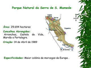Parque Natural da Serra de S. Mamede
Área: 29.694 hectares
Concelhos Abrangidos:
Arronches, Castelo de Vide,
Marvão e Portalegre.
Criação: 14 de Abril de 1989
Especificidades: Maior colónia de morcegos da Europa .
 