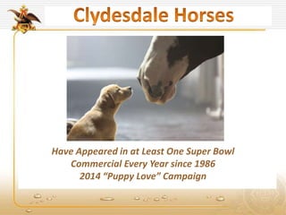 Have Appeared in at Least One Super Bowl
Commercial Every Year since 1986
2014 “Puppy Love” Campaign
 