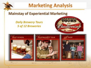 Mainstay of Experiential Marketing
Daily Brewery Tours
5 of 12 Breweries
 