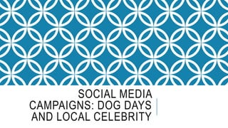 SOCIAL MEDIA
CAMPAIGNS: DOG DAYS
AND LOCAL CELEBRITY
 