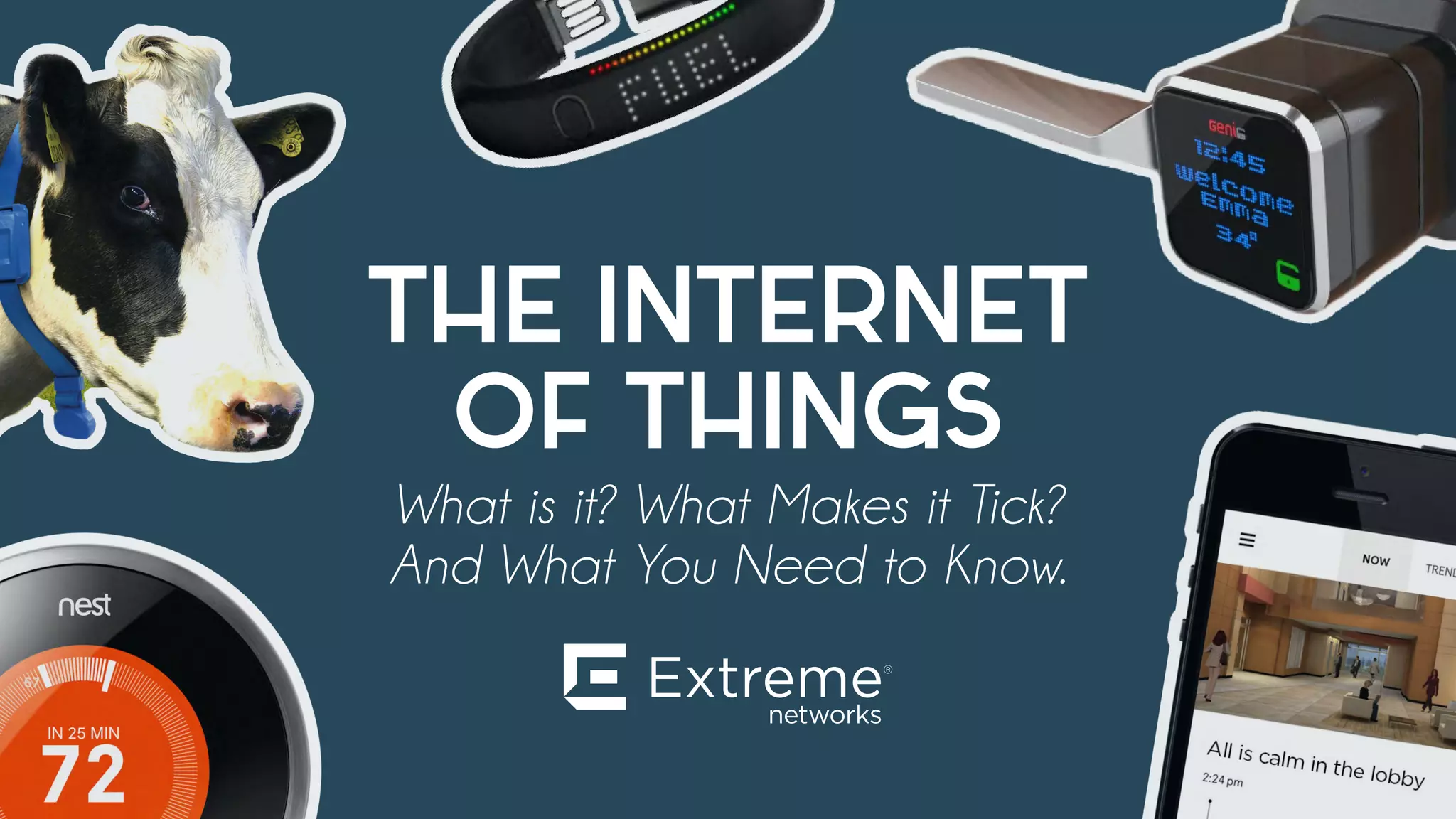 THE INTERNET
OF THINGS
What is it? What Makes it Tick?
And What You Need to Know.
 