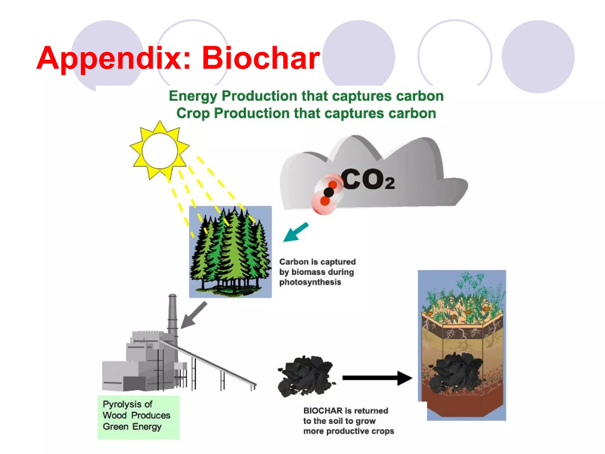Appendix: Biochar
 