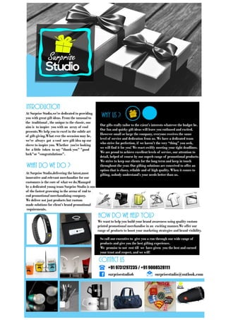 Surprise Studio Selected Products E-Catalog