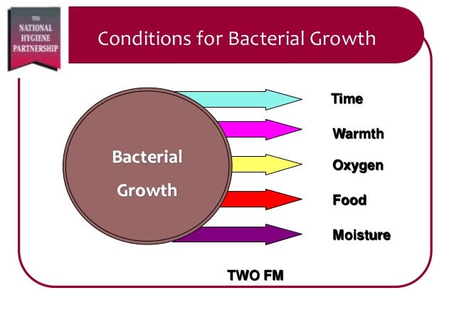 Bacteria Can Grow In Food Bacteria Can Grow In Food
