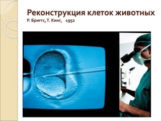 Реконструкция клеток животных
Р. Бриггс,Т. Кинг, 1952
 