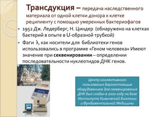 Трансдукция – передача наследственного
материала от одной клетки донора к клетке
реципиенту с помощью умеренных бактериофагов
 1952 Дж. Ледерберг, Н. Циндер (обнаружено на клетках
бактерий в опыте в U-образной трубкой)
 Фаги λ, как носители для библиотеки генов
использовались в программе «Геном человека» Имеют
значение при секвенировании – определении
последовательности нуклеотидов ДНК генов.
Центр коллективного
пользования дорогостоящим
оборудованием для секвенирования
ДНК был создан в 2000 году на базе
Института Химической Биологии
иФундаментальной Медицины
 