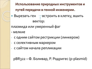 Использование природных инструментов и
путей передачи в генной инженерии.
 Вырезать ген встроить в клетку, вшить
вектор:
плазмида или умеренный фаг
- мелкие
- с одним сайтом рестрикции (линкером)
- с селективным маркером
- с сайтом начала репликации
рВR322 – Ф. Боливар, Р. Родригес (р-plasmid)
 